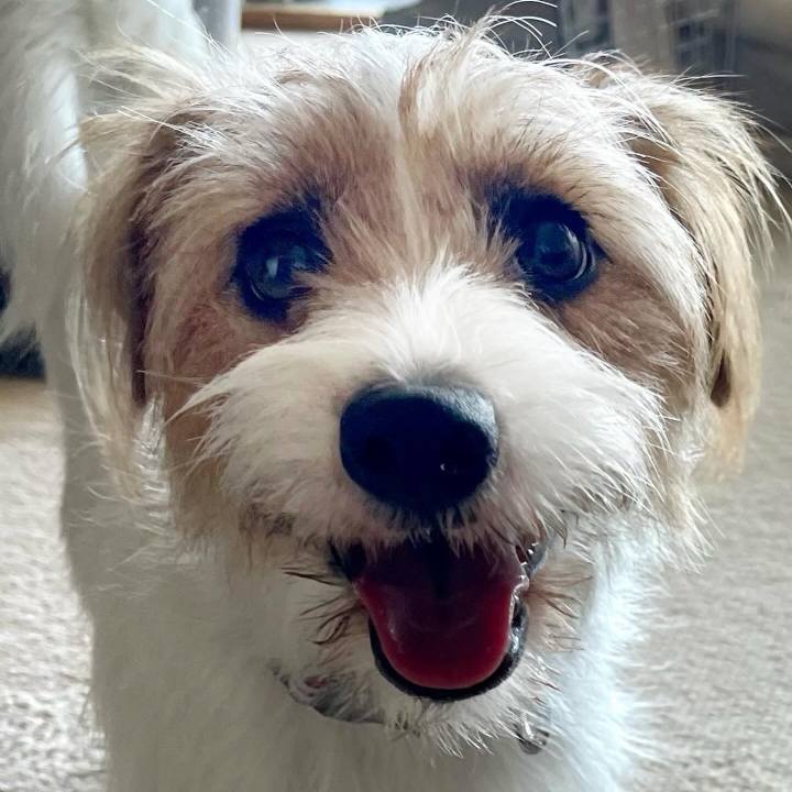 8e0ff85e 1934 42b0 91e0 3a13cadb3036 1767100383050