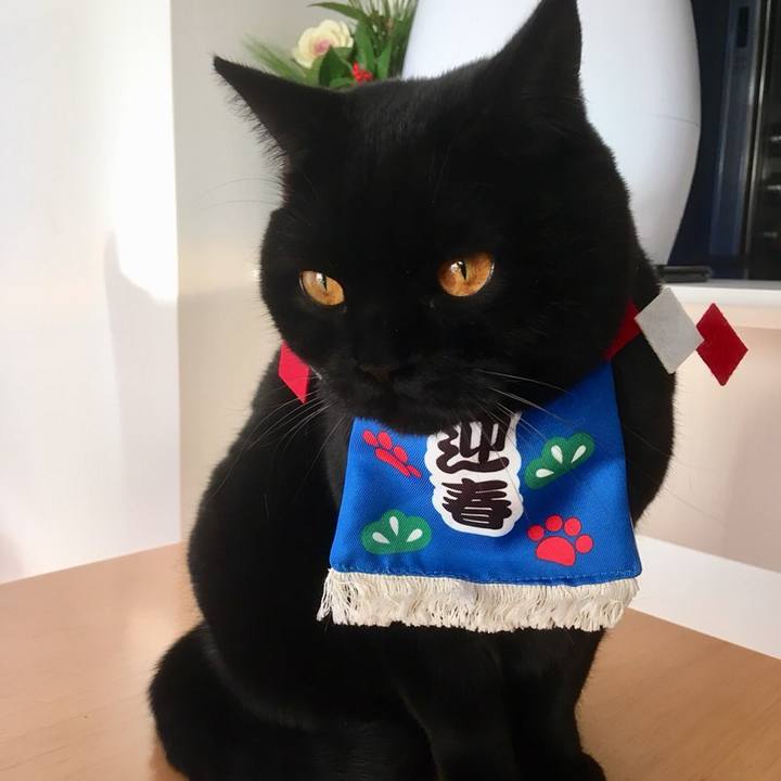 8e0ffd6d febc 4e2e a7c1 a78f3b59813a 1546296841096