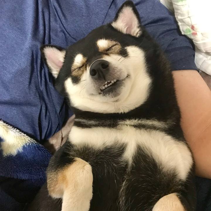 8e103017 8bff 4bf2 b6d4 a318155666d4 1540999867269