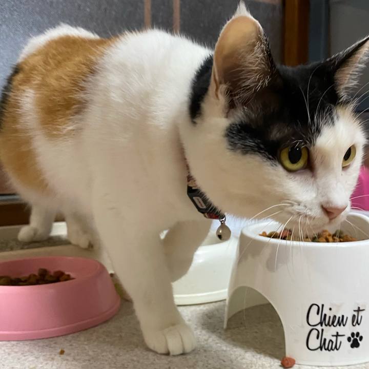 8e104874 81ea 4afd 954a 8b2d76749b13 1662163481461