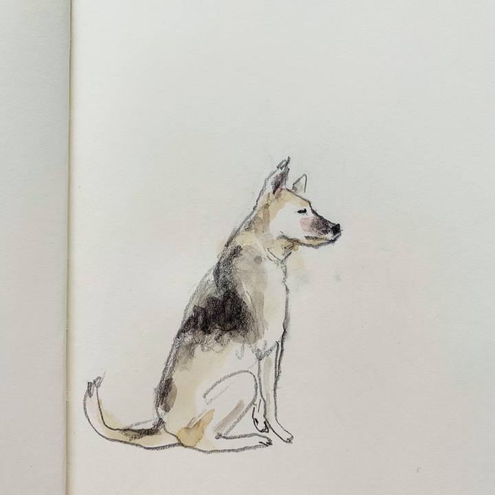 8e10725c 0880 474d 8424 bd75f1eaa628 1620347880751