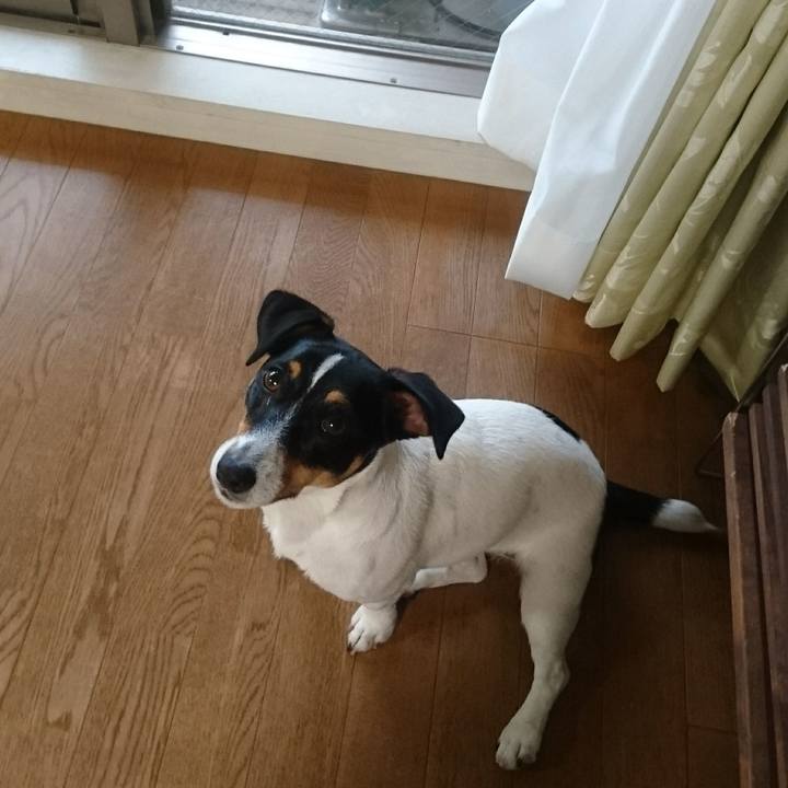 8e1100c5 a452 40b0 b21f 14280b7bb42a 1560849959524