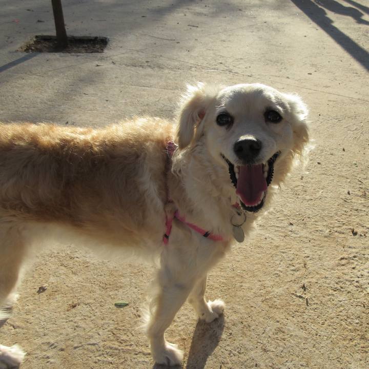 8e1101b2 c907 4112 86f4 fee3aaf5c515 1537707336646