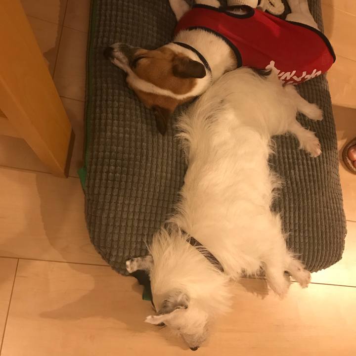 8e11142b a557 47b6 b702 70eb269f91b1 1530283167338