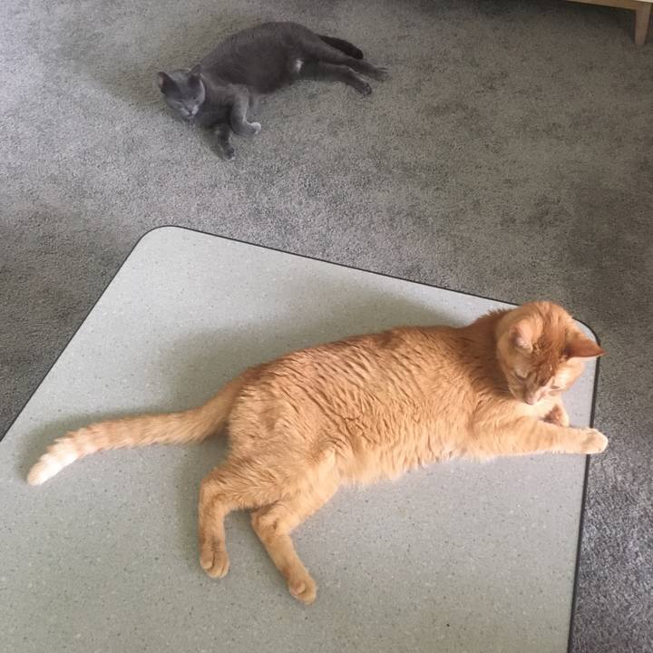 8e1145f9 5994 497c 9281 fca7f3d1824c 1656115184620