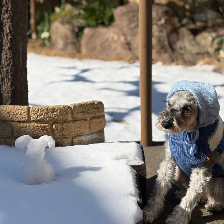 8e116b54 10de 44ff 923c ae7d9eb407b1 1770622068098