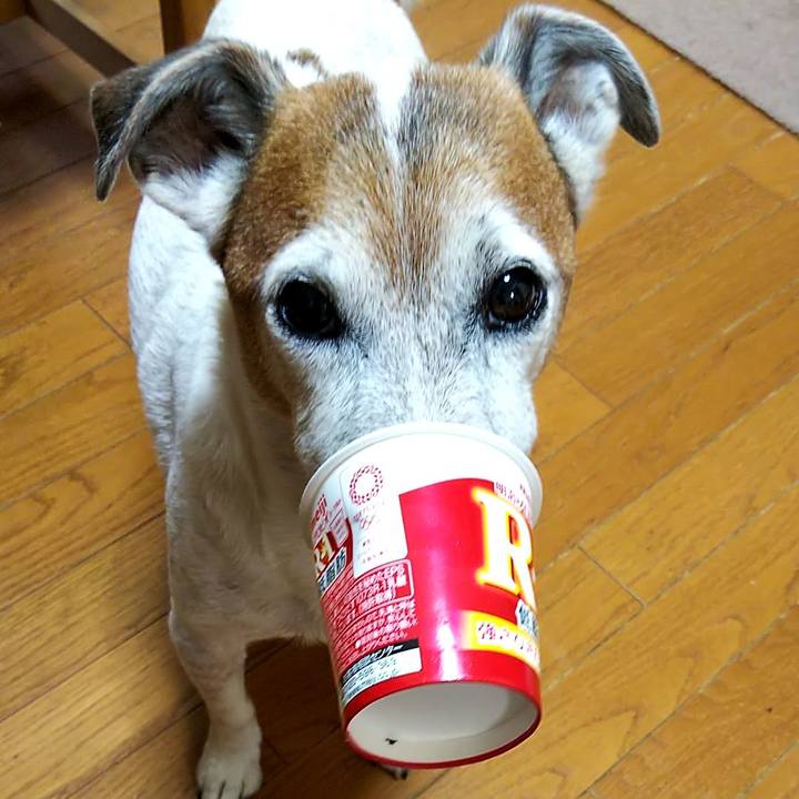 8e1175f2 ea8e 4b3b a411 496e858ef233 1548023049824