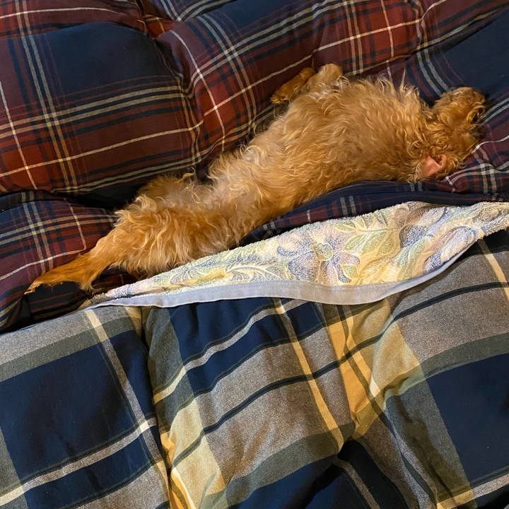 8e1203a4 16c2 4e02 9518 0ef9853af8e1 1681476996912