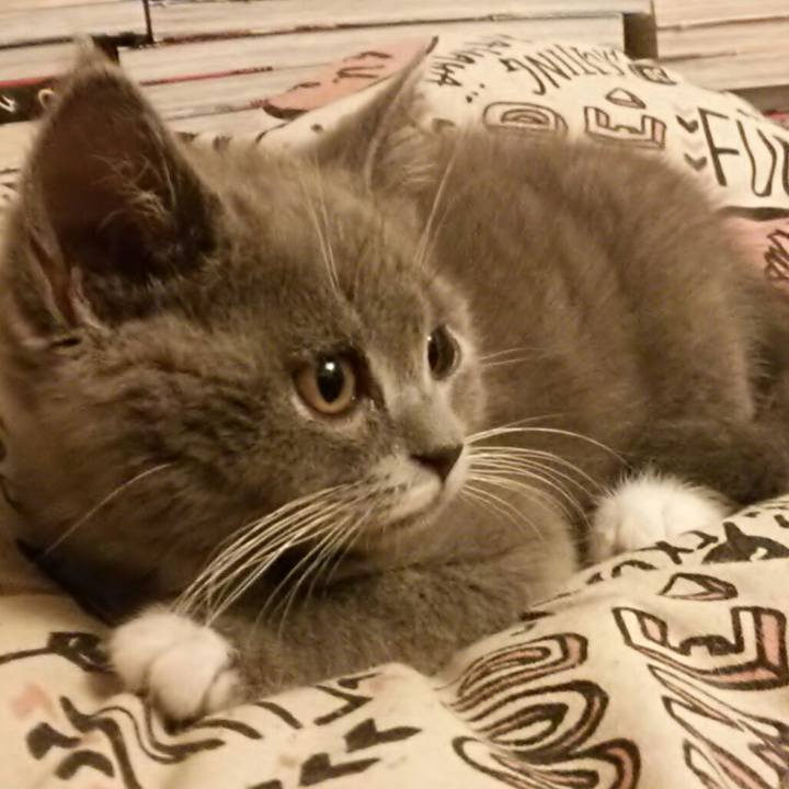 8e120662 32f3 4260 b94e 1e9521aea54d 1531050235153