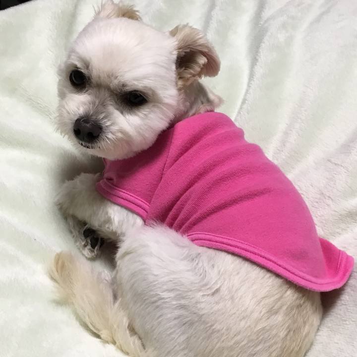 8e121ca1 2ac2 476e 8da4 ab7afdb60d5e 1547380388207