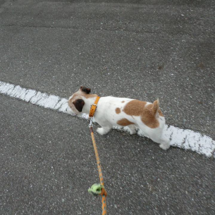 8e12387d 20b7 450e 8a79 29b1ff151b41 1528942768107