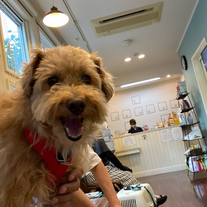 8e1260e9 29b9 46e2 9ce5 84981a67d506 1691569972808