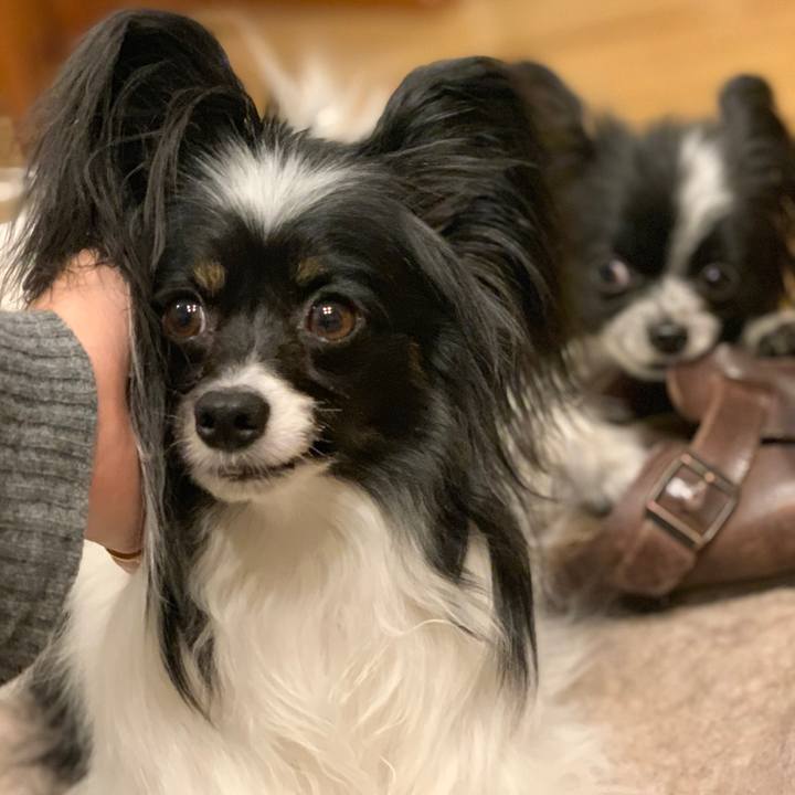 8e128341 d3df 4b9e a8bf b53f84a2d770 1551526916298