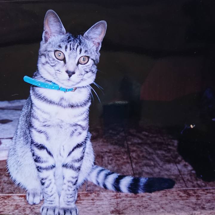 8e128a3e e6d1 4b6b a3f5 7135f52915b3 1556878020621