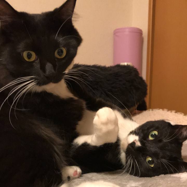 8e128c74 5458 483e b806 07a5623fd4f1 1512084702012