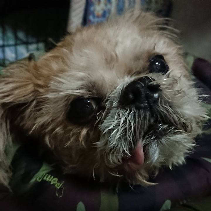 8e129804 0e65 48a2 a1f0 067b7e2bc8eb 1586727802710