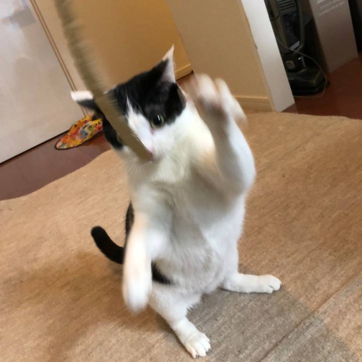 8e1299f6 2a59 4409 a7e4 ec0225b2b293 1517391265173