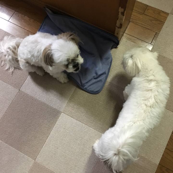 8e12a65c 2e67 4835 aea7 fb45dce5264b 1561422364869