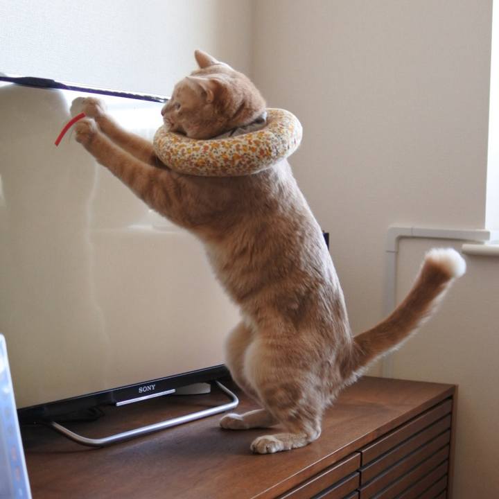 8e12c9cd 226e 4c73 b6f7 c5a4050aab25 1751378996901