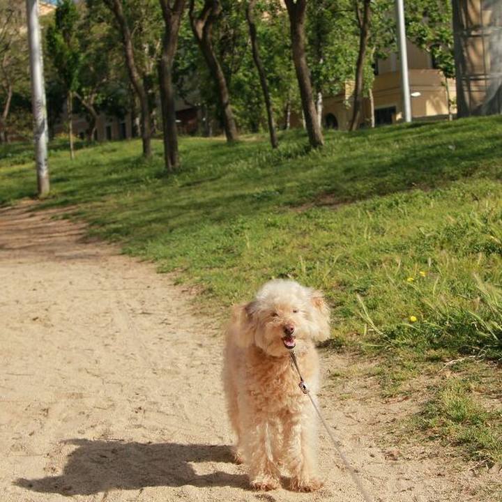 8e130263 396c 41ae 8754 af6331111ede 1588585039616