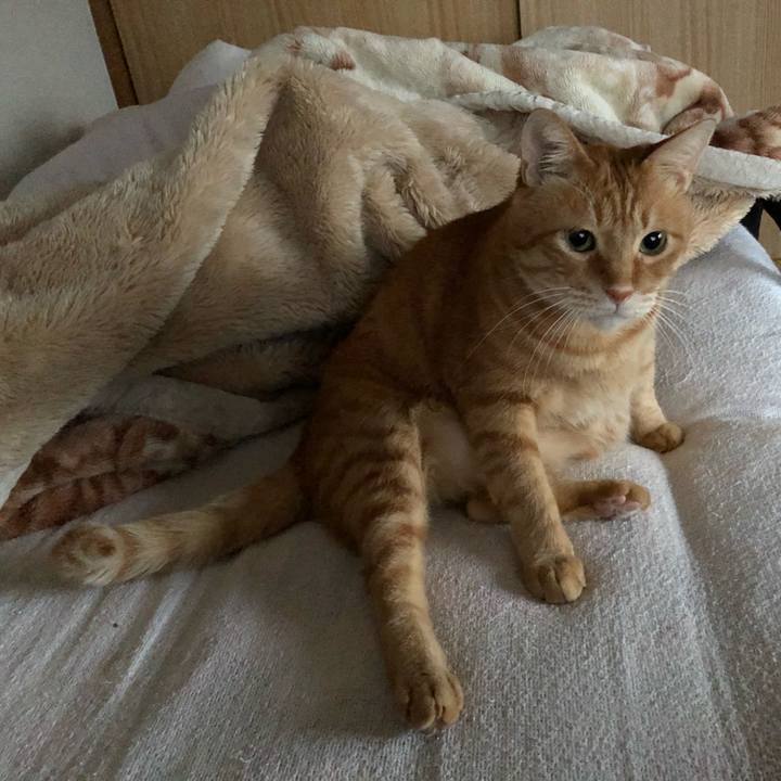 8e130831 ec3c 466b a03c 0890b67abdaa 1606426653501