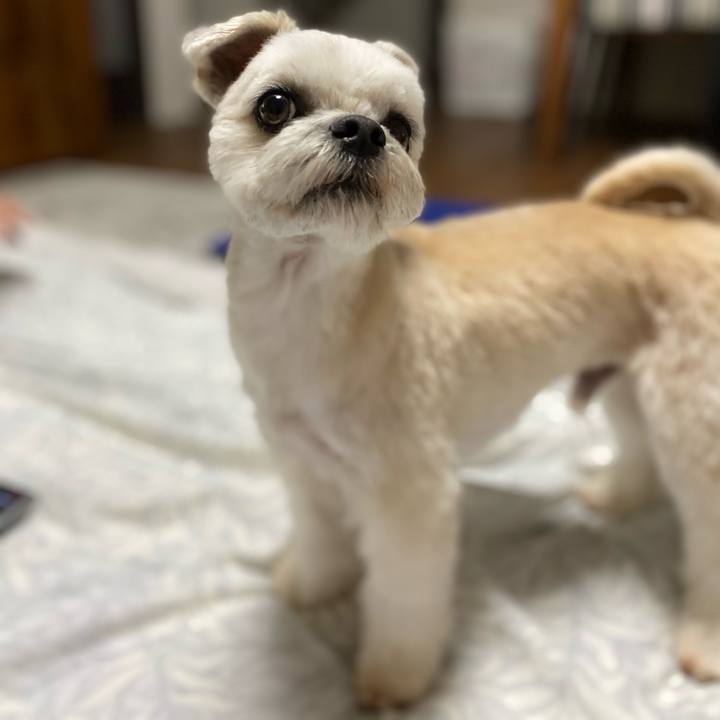 8e130ffe 0c0a 408d b4d4 cc856d3657c5 1613813501825