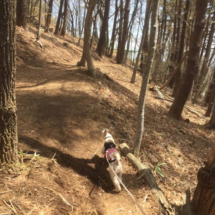 8e135c0d a05d 4dcb 9e05 1375321ed530 1556513746883