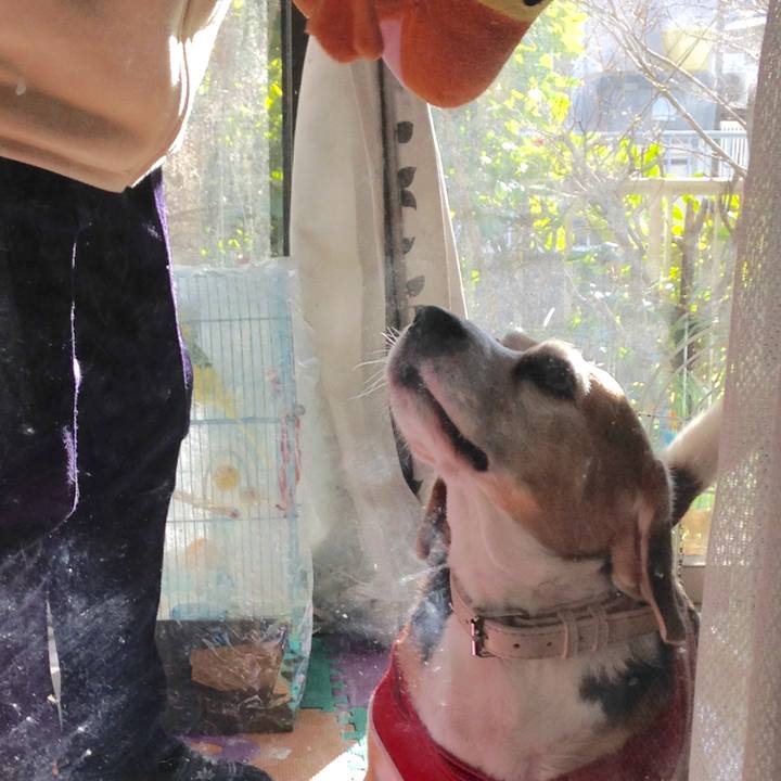 8e138dd1 a06a 44fd 98a6 4f516fc88e27 1737331588248