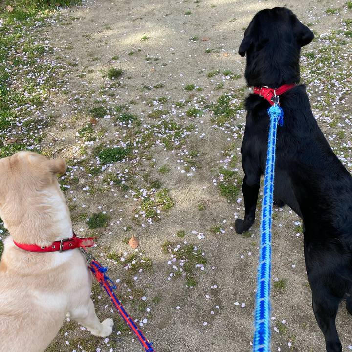 8e139da7 9832 4532 aaa5 073665e82194 1617109969046