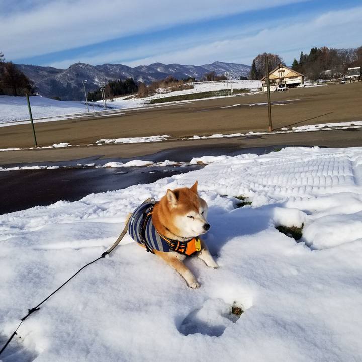 8e13a220 5da7 4601 868b ae2635679b11 1638249654187