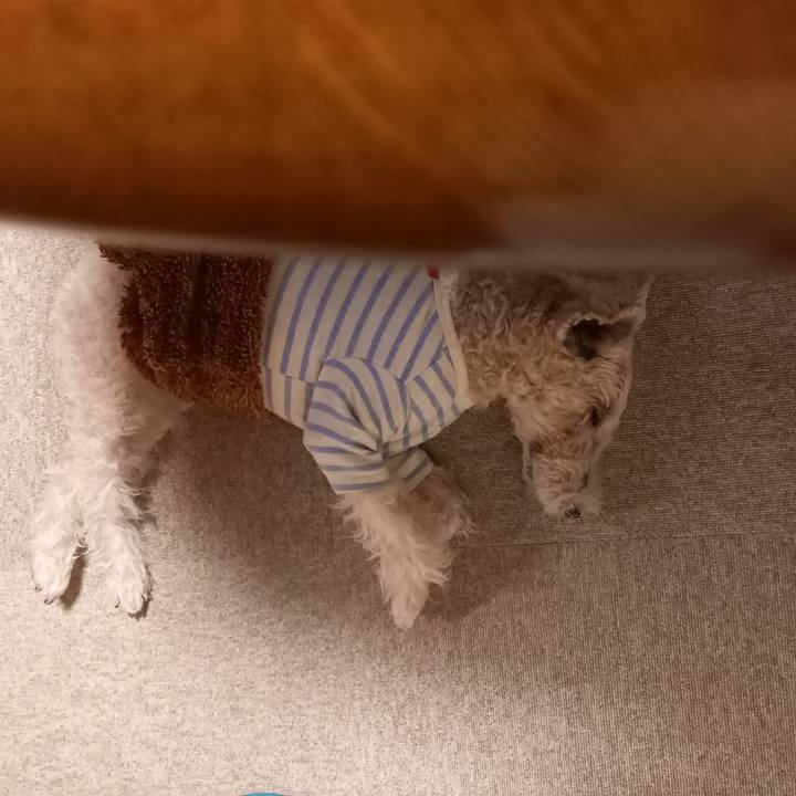 8e13c73c a063 4200 ba8e 59f7f7499a68 1643324180637