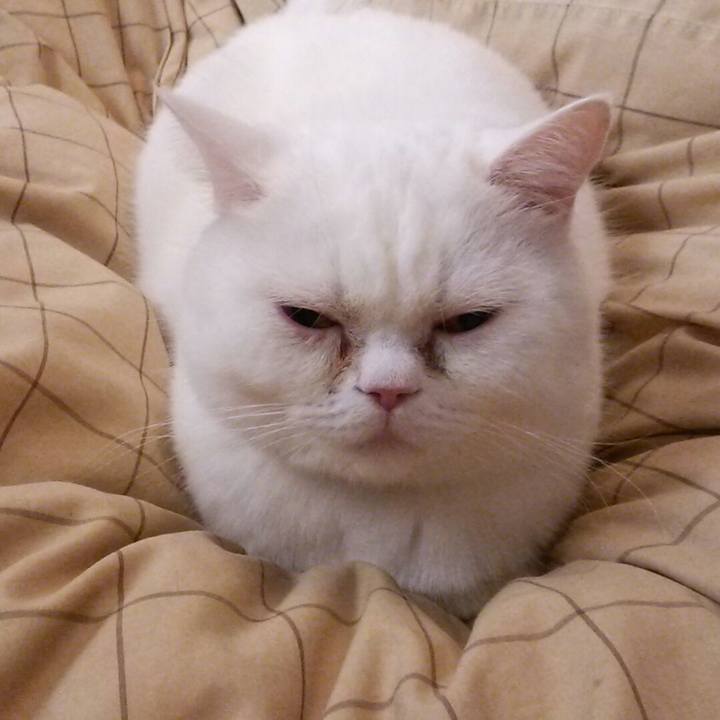 8e13ef34 9fd8 48c4 bdcb dba178f7d35e 1516914138236