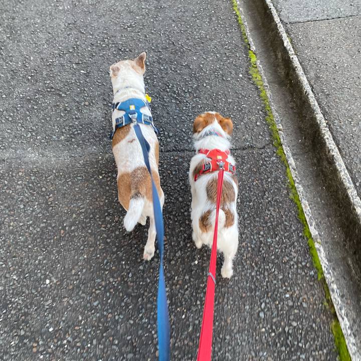 8e13fe06 959b 44f0 800f 9fb15fb41854 1672270594375