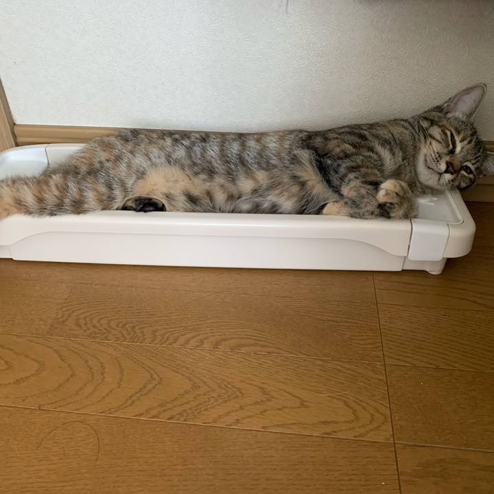 8e14085e b2c4 4a74 b5af 5565409794f1 1598496534511