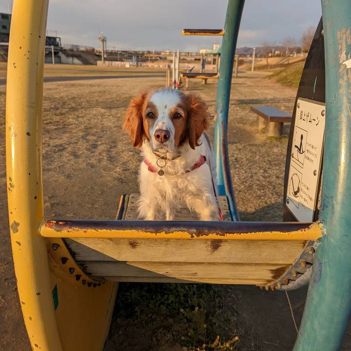 8e141177 1078 4bc1 9119 69539eb30dc3 1643966991705