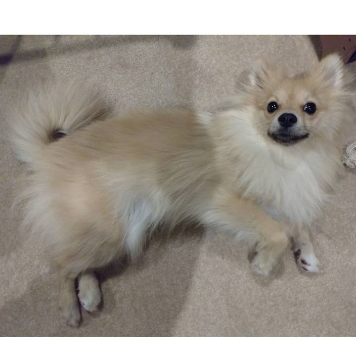 8e141993 4178 4f3d beec 7dec6ec3c4ed 1744348040116