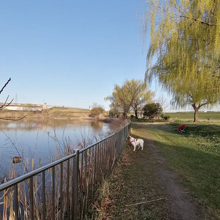 8e145290 e1ef 4568 a4d4 6402815513f0 1615437684346