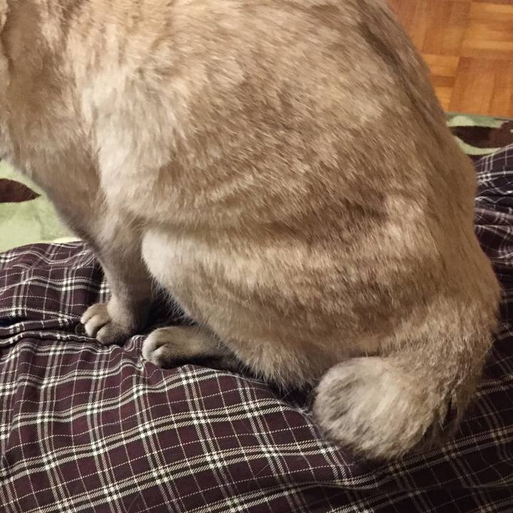 8e146e5c 4d8b 4655 81a0 c834e855d5cf 1587293446408