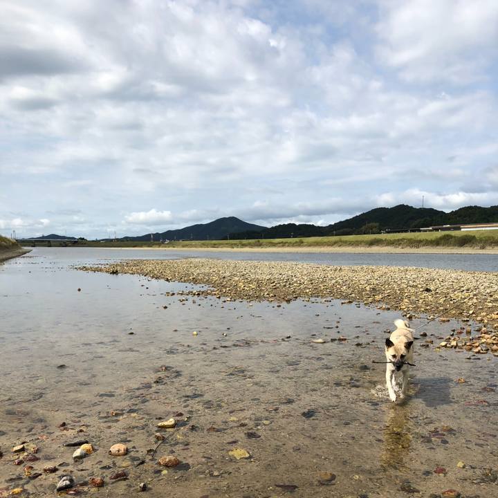 8e14767e dbe2 438f 9727 32bad1e15824 1570335687011