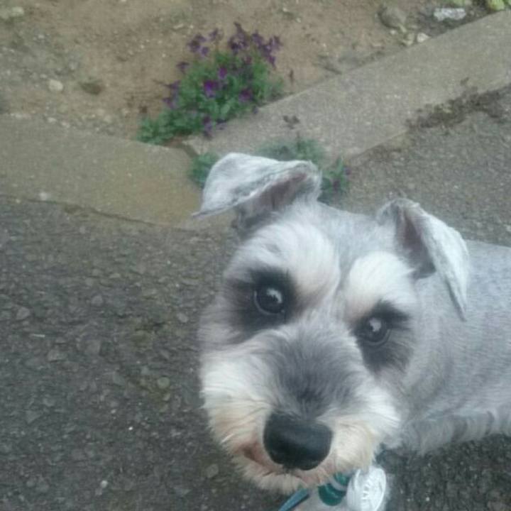 8e149451 c3e0 4522 900f ad0053340cfc 1523402672123