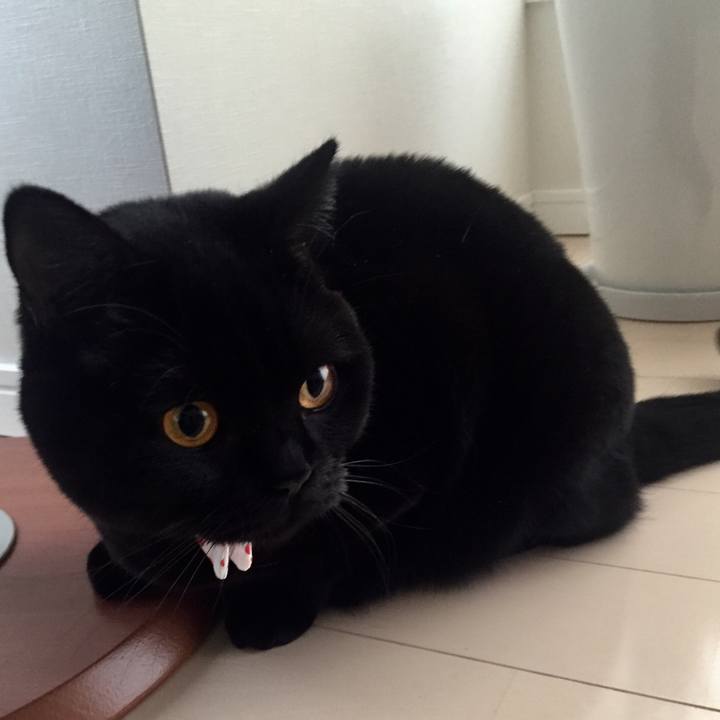 8e14c351 cab0 4563 86f2 06e71eba0a0e 1513386248259