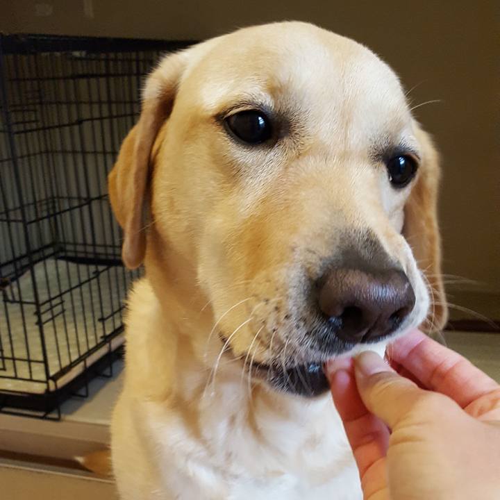 8e14e1de 5d73 42e4 98db 7fde532d0e04 1508286587425