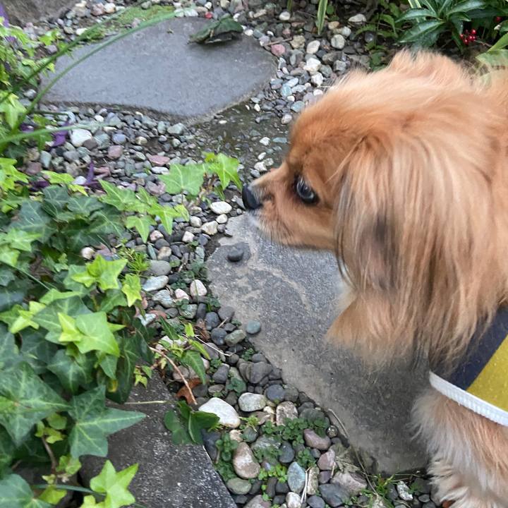 8e150a40 328d 47c0 9bfb cdca640257e7 1637964427059