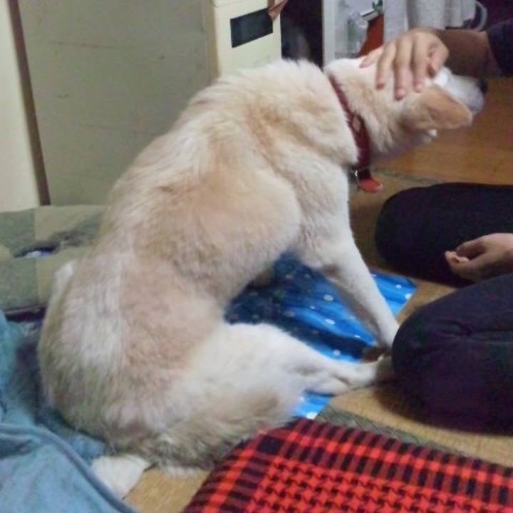 8e152fd4 b4af 4558 9f88 41baf240b131 1518911132030