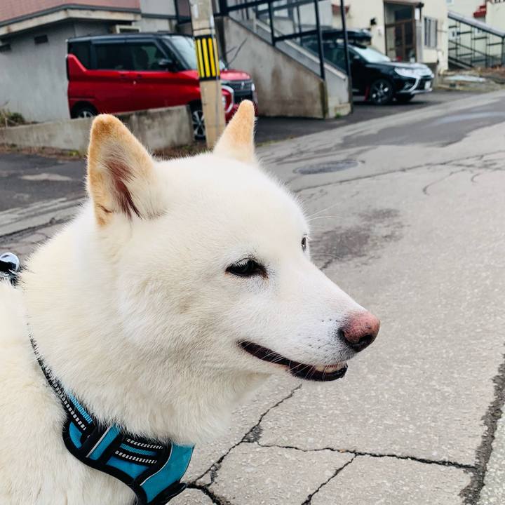 8e153cd5 9fcb 471d b61a 47d02a451746 1681711318714