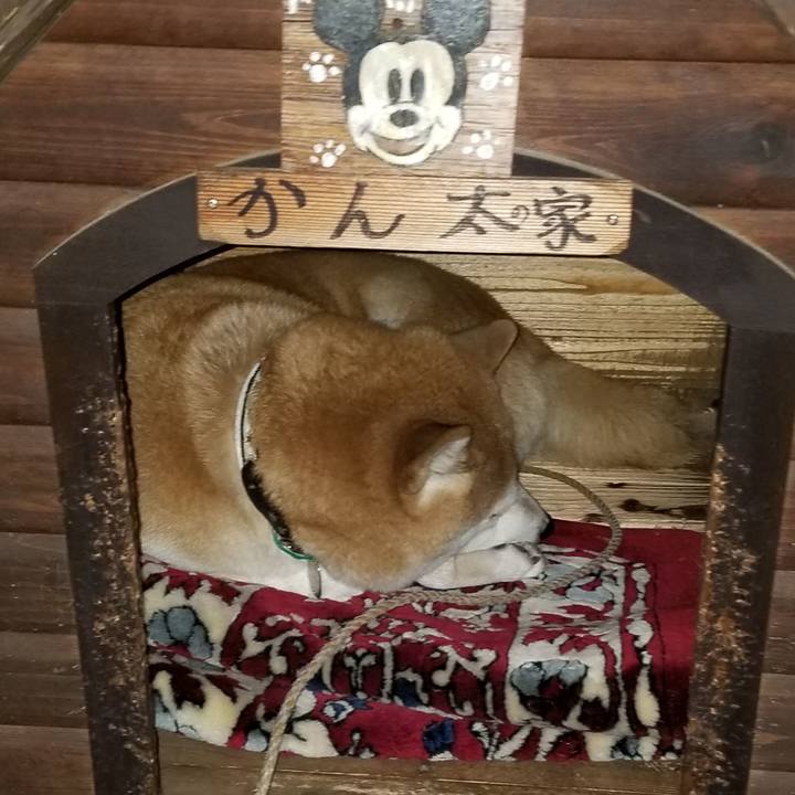 8e156d54 7bef 439b 92d2 9a361b7edaee 1605621106952