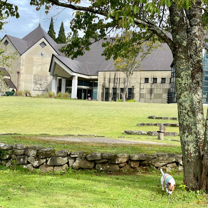 8e158b97 d198 4904 938f 0b42aa07a3f5 1632892575835