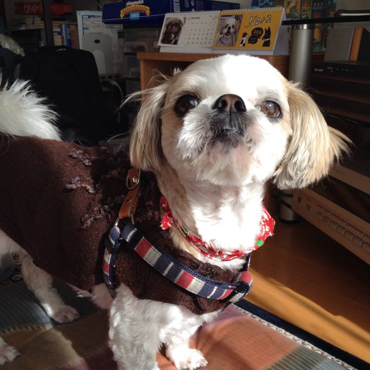 8e15a470 74ba 47dc 91ef 422615df9f9b 1513546760440