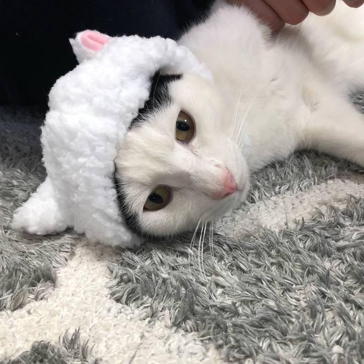 8e15aae3 2aa3 4b0a bd84 8c8873ea9ad5 1551028051517