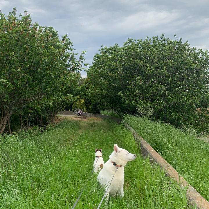 8e160255 c9a1 4829 89bb a181e36acabc 1557135324840